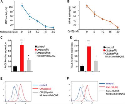 Advanced glycation end products regulate the receptor of AGEs epigenetically